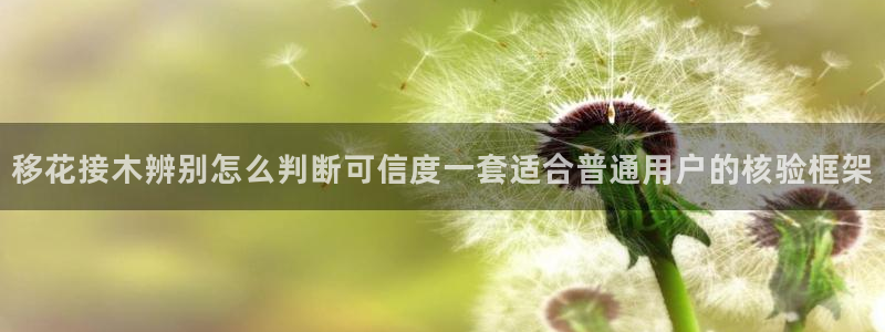 911吃瓜中心