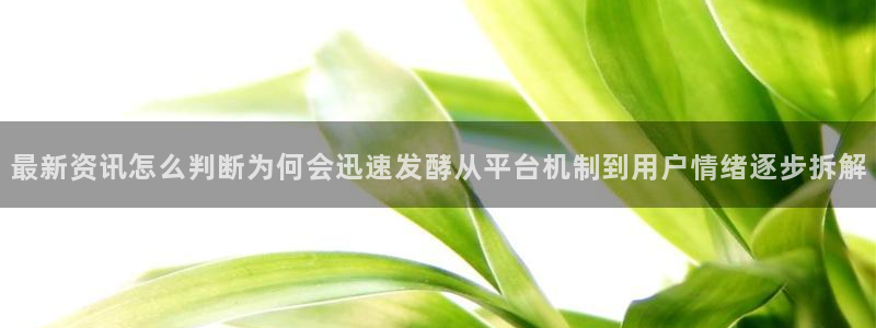 911吃瓜网络话题