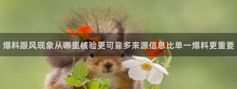 911吃瓜资讯大全