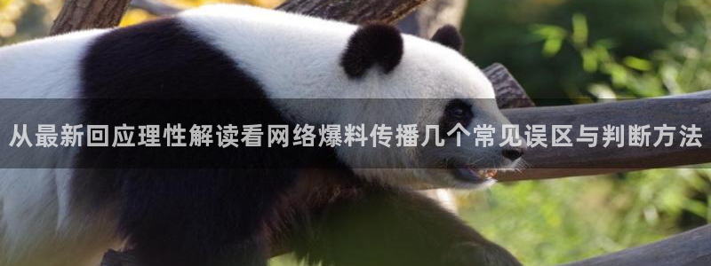 网络热点事件